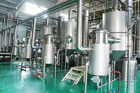 Glycyrrhizic acid powder